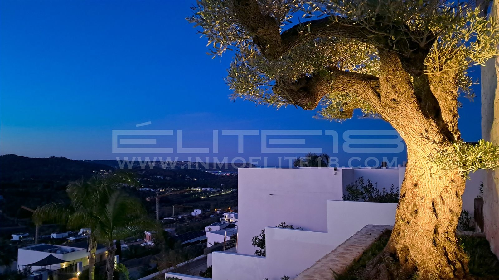 Olivo centenario iluminado al anochecer con vistas a Jávea